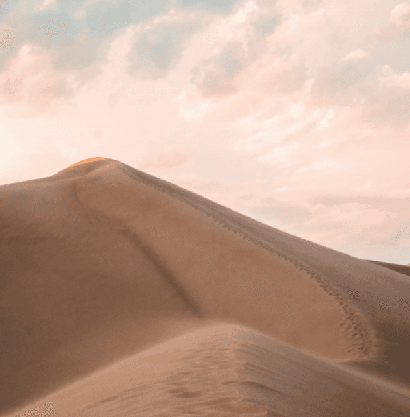 A young man’s journey with the Messenger of Allah